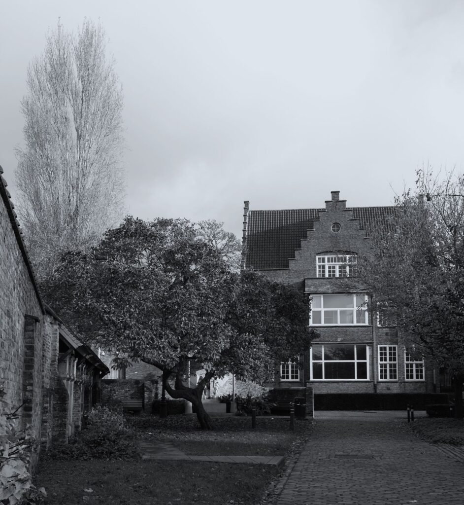 Rénovation Rixensart : villa entourée d'arbres
